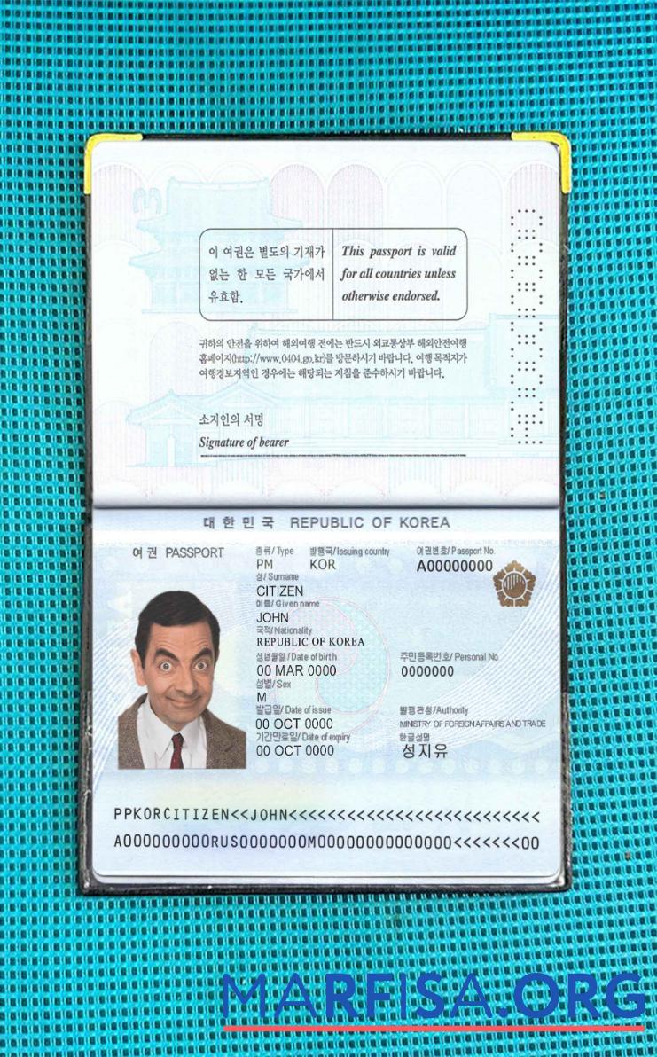 Blank South Korea passport photo look download for verification